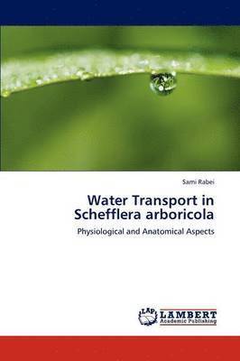 Water Transport in Schefflera Arboricola 1