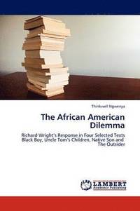 bokomslag The African American Dilemma