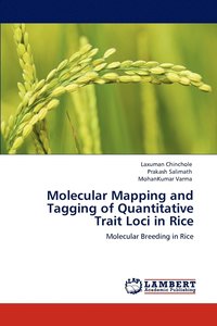 bokomslag Molecular Mapping and Tagging of Quantitative Trait Loci in Rice