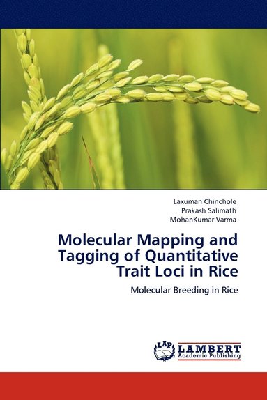 bokomslag Molecular Mapping and Tagging of Quantitative Trait Loci in Rice