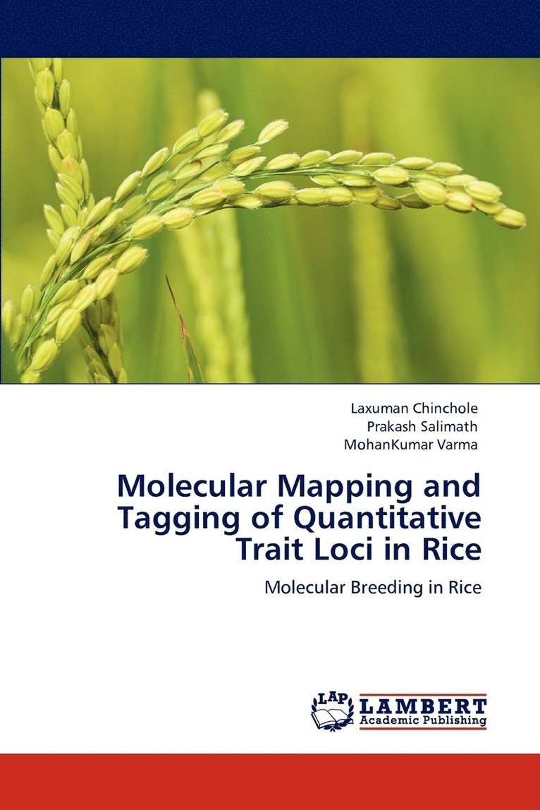 Molecular Mapping and Tagging of Quantitative Trait Loci in Rice 1