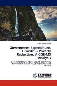 bokomslag Government Expenditure, Growth & Poverty Reduction