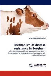 bokomslag Mechanism of disease resistance in Sorghum