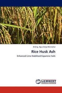 bokomslag Rice Husk Ash