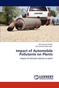 bokomslag Impact of Automobile Pollutants on Plants