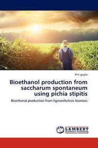 bokomslag Bioethanol Production from Saccharum Spontaneum Using Pichia Stipitis