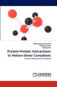 bokomslag Protein-Protein Interactions in Hetero-dimer Complexes