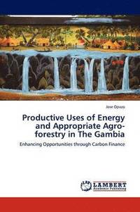 bokomslag Productive Uses of Energy and Appropriate Agro-forestry in The Gambia