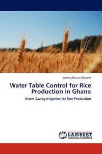 bokomslag Water Table Control for Rice Production in Ghana