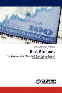 bokomslag Brics Economy