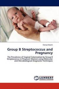 bokomslag Group B Streptococcus and Pregnancy