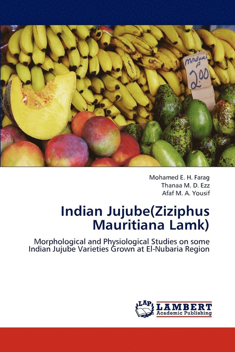 Indian Jujube(Ziziphus Mauritiana Lamk) 1