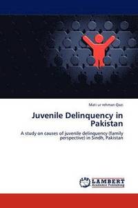 bokomslag Juvenile Delinquency in Pakistan
