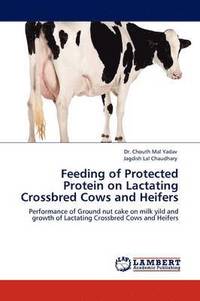 bokomslag Feeding of Protected Protein on Lactating Crossbred Cows and Heifers