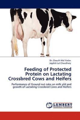 Feeding of Protected Protein on Lactating Crossbred Cows and Heifers 1