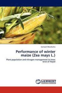 bokomslag Performance of Winter Maize (Zea Mays L.)