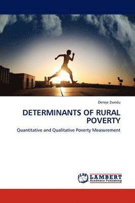 bokomslag Determinants of Rural Poverty