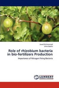 bokomslag Role of rhizobium bacteria in bio-fertilizers Production