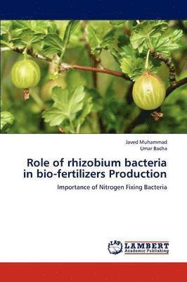 Role of rhizobium bacteria in bio-fertilizers Production 1