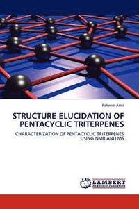 bokomslag Structure Elucidation of Pentacyclic Triterpenes