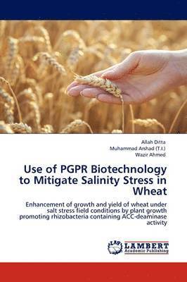bokomslag Use of PGPR Biotechnology to Mitigate Salinity Stress in Wheat