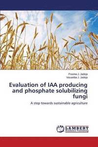 bokomslag Evaluation of Iaa Producing and Phosphate Solubilizing Fungi