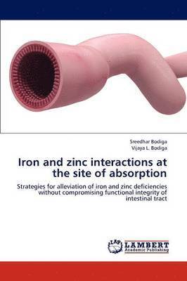 bokomslag Iron and Zinc Interactions at the Site of Absorption