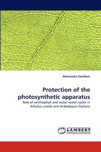 bokomslag Protection of the photosynthetic apparatus