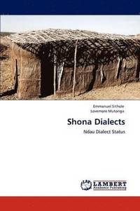 bokomslag Shona Dialects