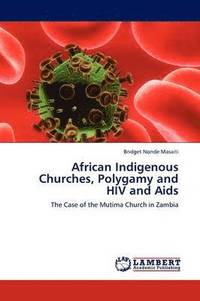 bokomslag African Indigenous Churches, Polygamy and HIV and AIDS