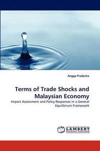 bokomslag Terms of Trade Shocks and Malaysian Economy