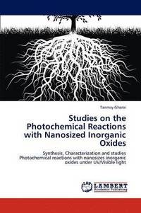 bokomslag Studies on the Photochemical Reactions with Nanosized Inorganic Oxides