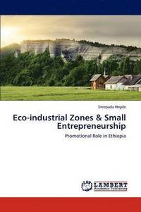 bokomslag Eco-Industrial Zones & Small Entrepreneurship