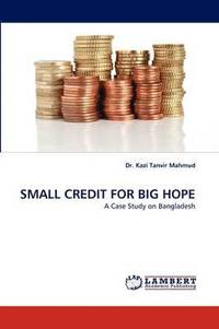 bokomslag Small Credit for Big Hope