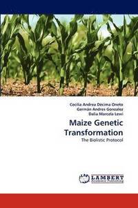 bokomslag Maize Genetic Transformation