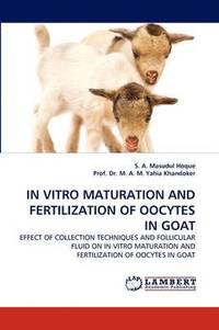 bokomslag In Vitro Maturation and Fertilization of Oocytes in Goat