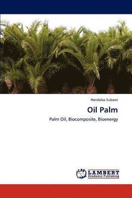 Oil Palm 1