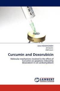 bokomslag Curcumin and Doxorubicin
