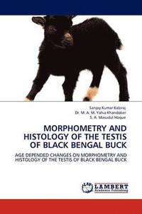 bokomslag Morphometry and Histology of the Testis of Black Bengal Buck