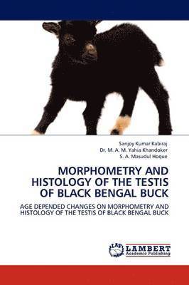 Morphometry and Histology of the Testis of Black Bengal Buck 1