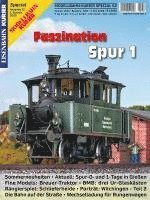 bokomslag Faszination Spur 1 - Teil 32