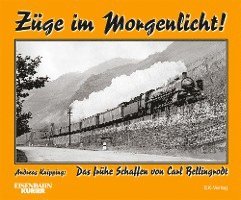 bokomslag Züge im Morgenlicht