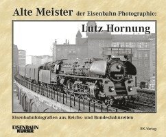 bokomslag Alte Meister: Lutz Hornung