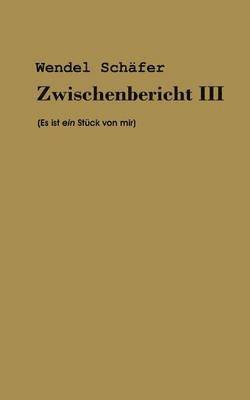 Wendel Schäfer - Zwischenbericht III, Häftad