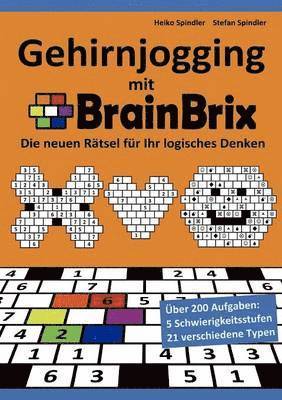 Gehirnjogging mit BrainBrix 1