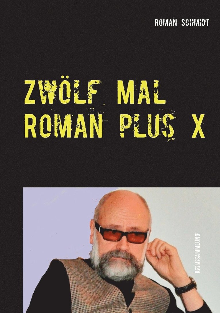 Roman Schmidt - Zwölf Mal Roman plus X, Häftad