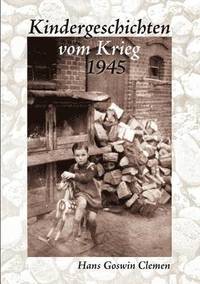 bokomslag Kindergeschichten vom Krieg 1945