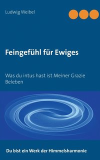 bokomslag Feingefhl fr Ewiges