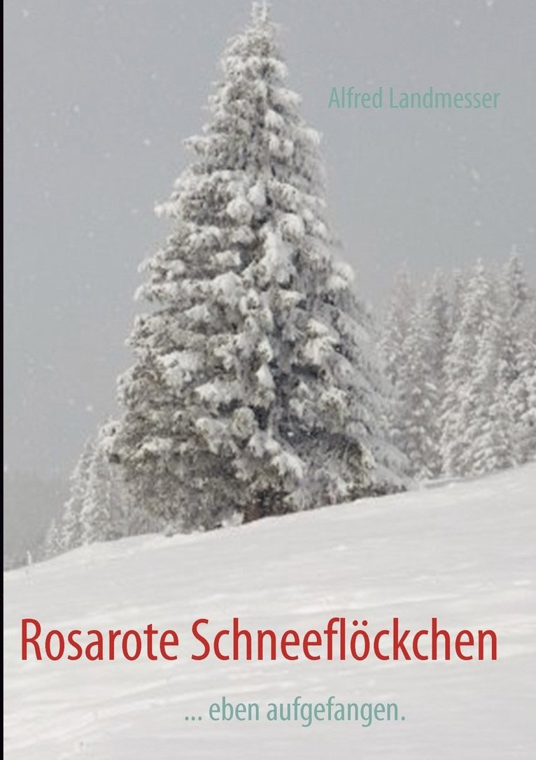 Rosarote Schneeflckchen 1