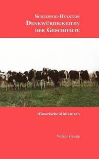 bokomslag Schleswig-Holstein - Denkwrdigkeiten der Geschichte